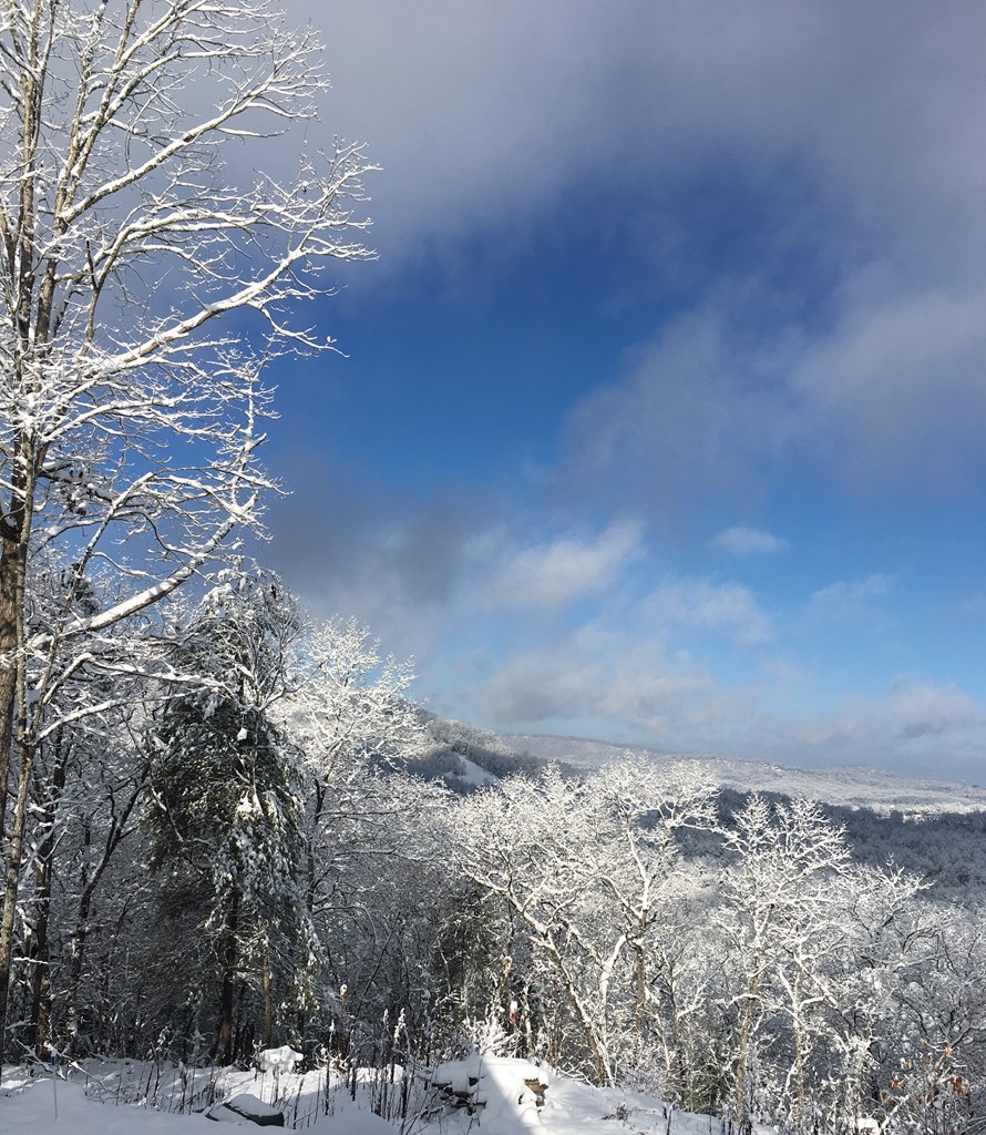 Undisclosed Address Blairsville, GA 30512 - Photo 46 of 52 Winter view