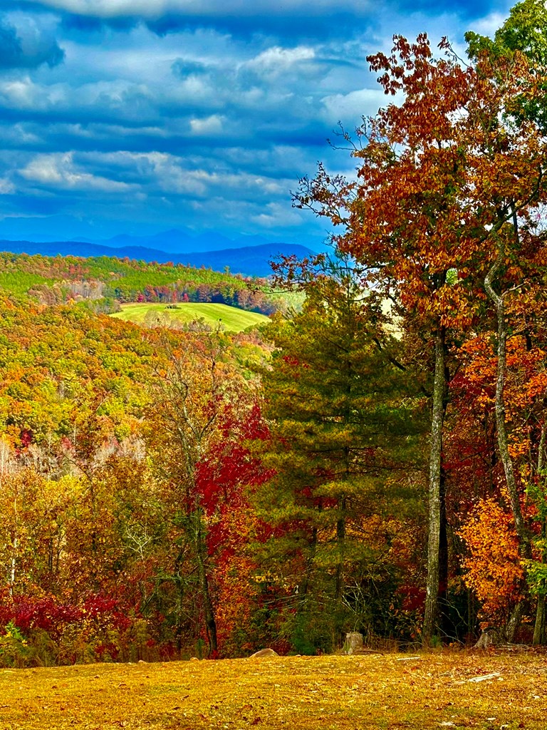 Undisclosed Address Blairsville, GA 30512 - Photo 50 of 52 Fall view