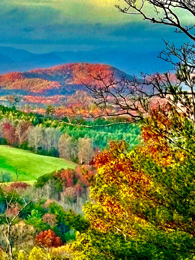 Undisclosed Address Blairsville, GA 30512 - Photo 6 of 52 Fall