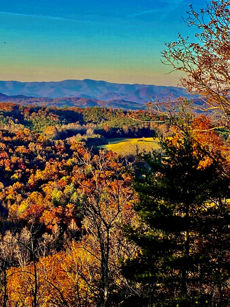 Undisclosed Address Blairsville, GA 30512 - Photo 8 of 52