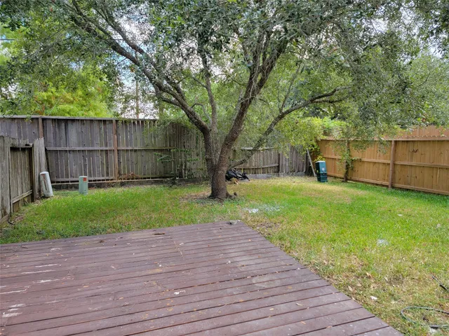 a view of a backyard with a large tree