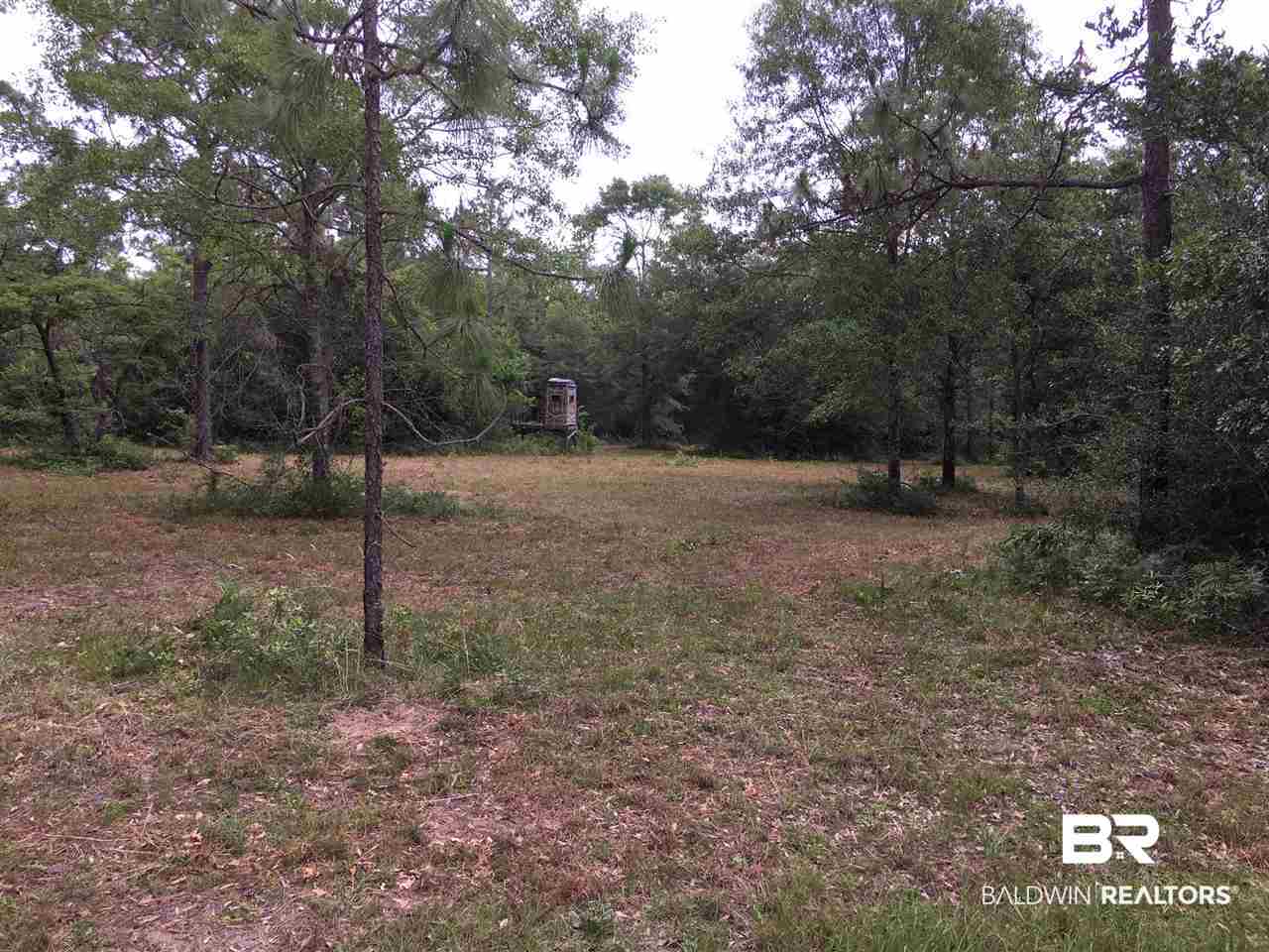 0 New Hope Church Road Robertsdale, AL 36567 - Photo 11 of 17