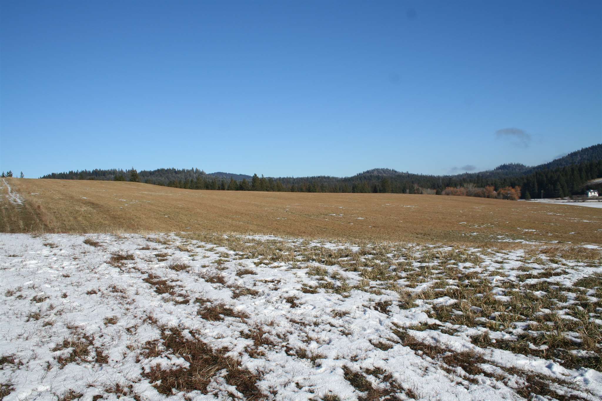 Xxx Old State Road Newport, WA 99156 - Photo 8 of 10