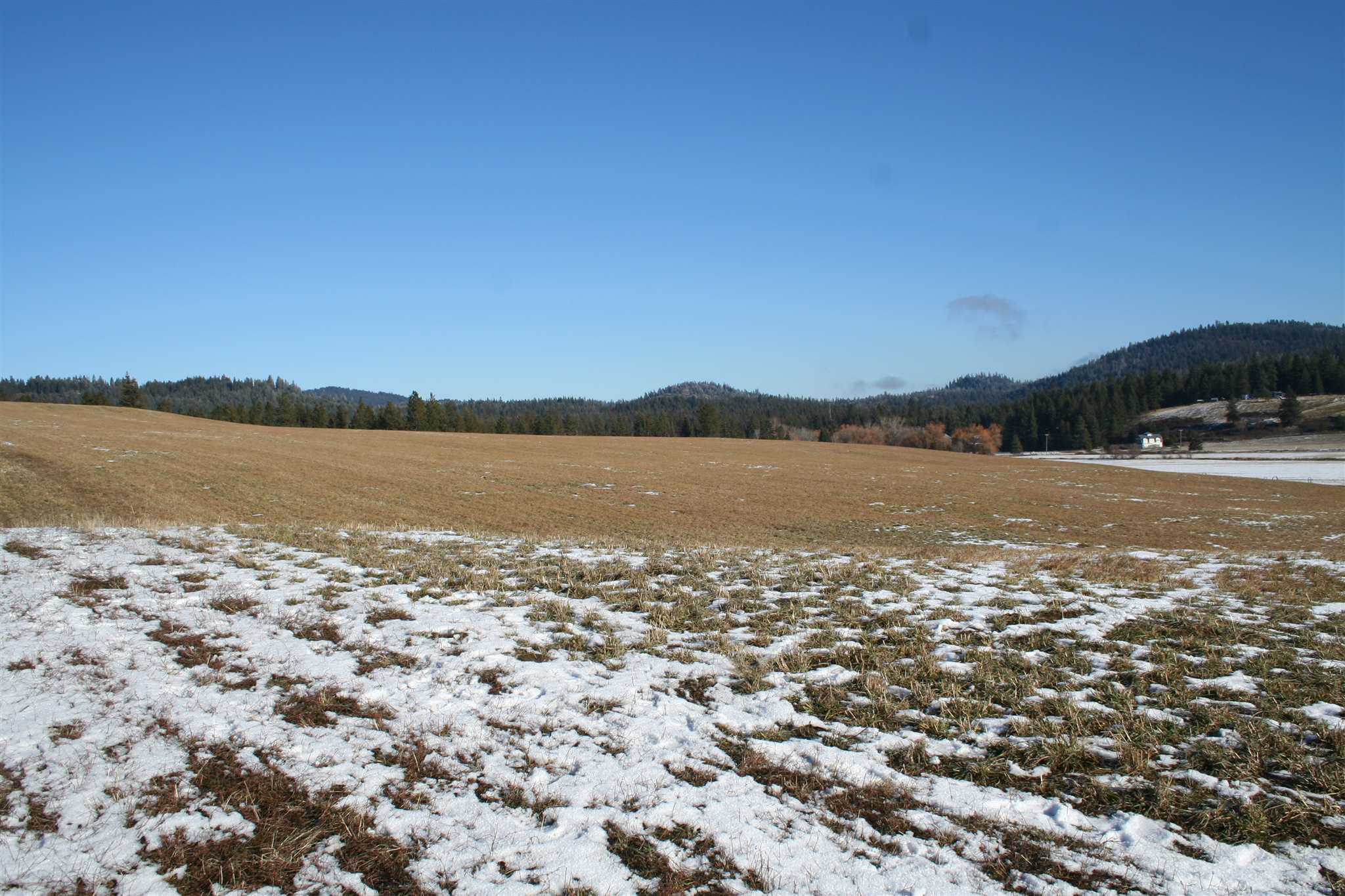 Xxx Old State Road Newport, WA 99156 - Photo 9 of 10