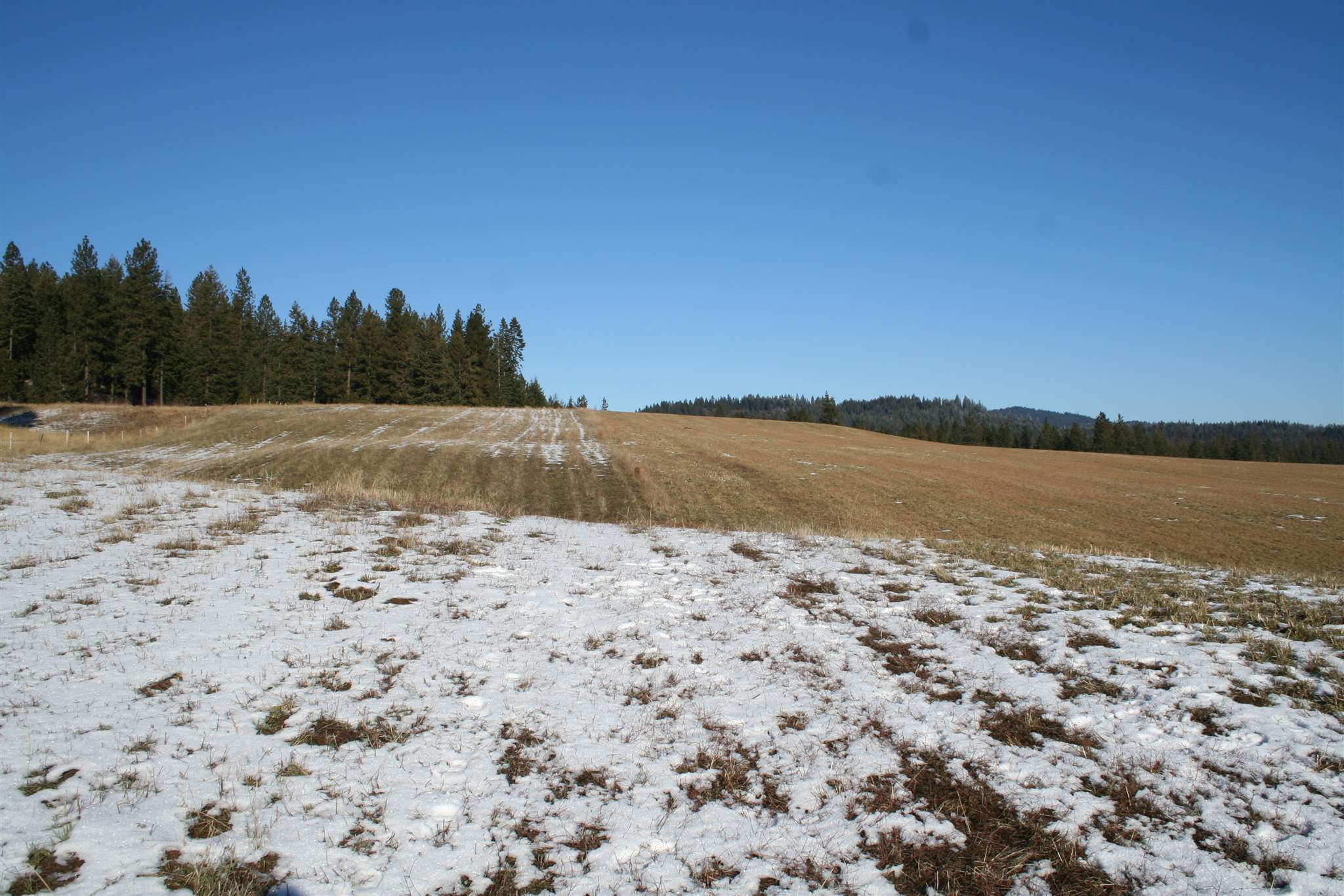 Xxx Old State Road Newport, WA 99156 - Photo 10 of 10