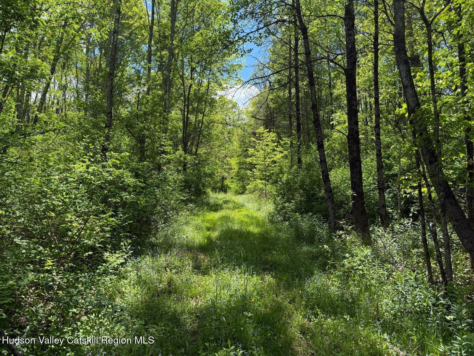 8-11 Henry Williams Road Roxbury, NY 12474 - Photo 7 of 23 6