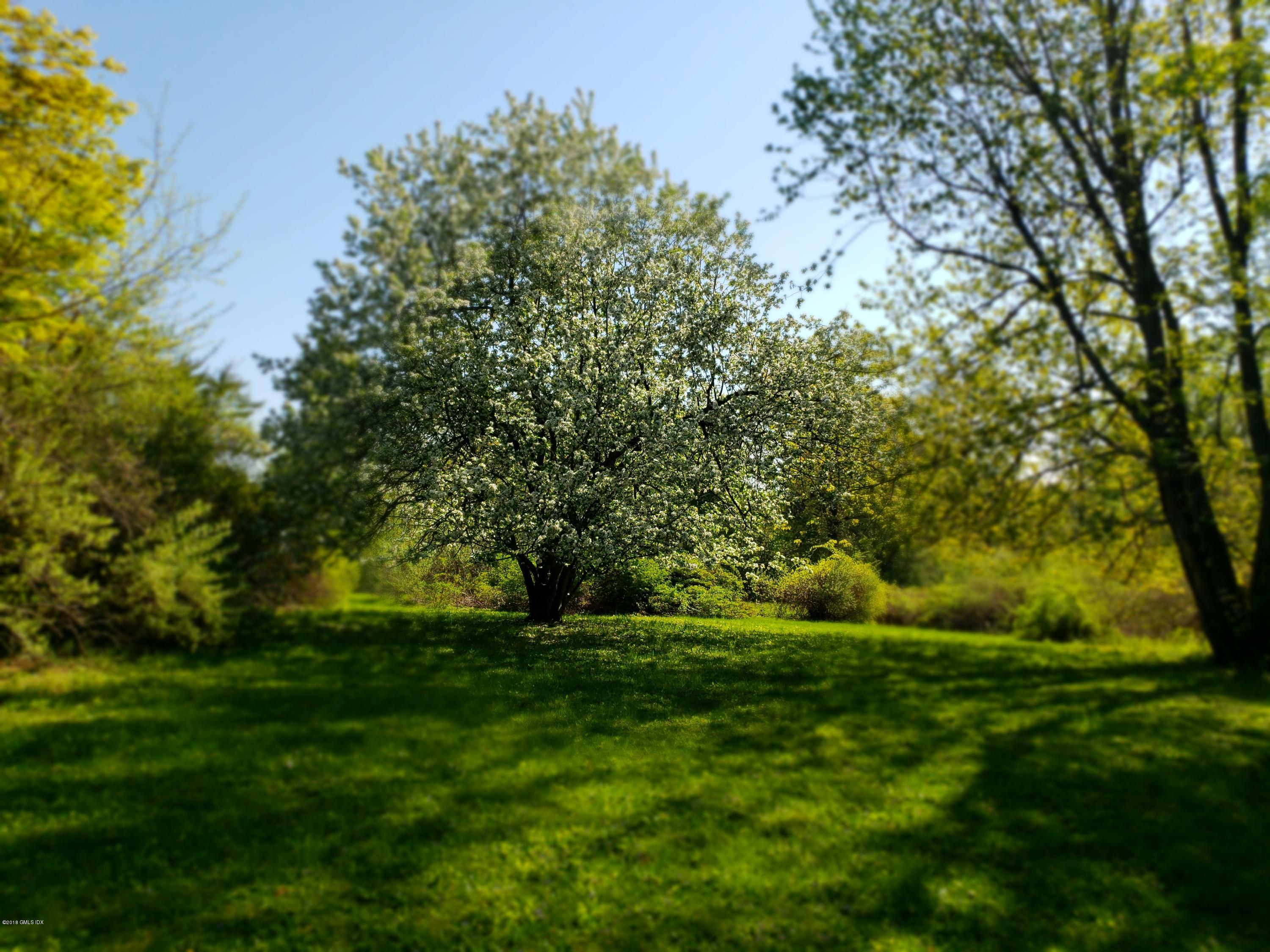 37 Aiken Road Greenwich, CT 06831 - Photo 5 of 16 Lush Plantings