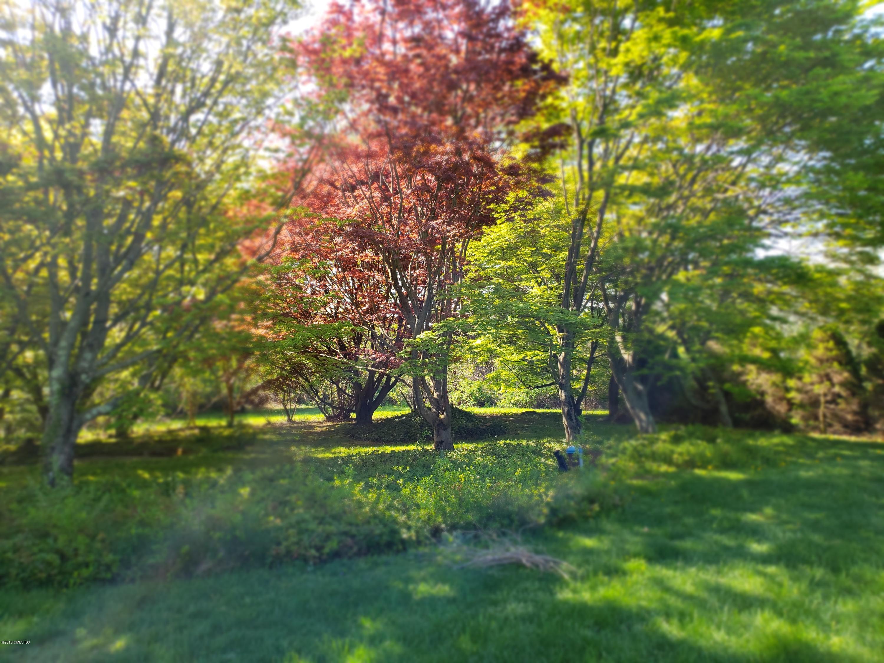 37 Aiken Road Greenwich, CT 06831 - Photo 9 of 16 Specimen Trees