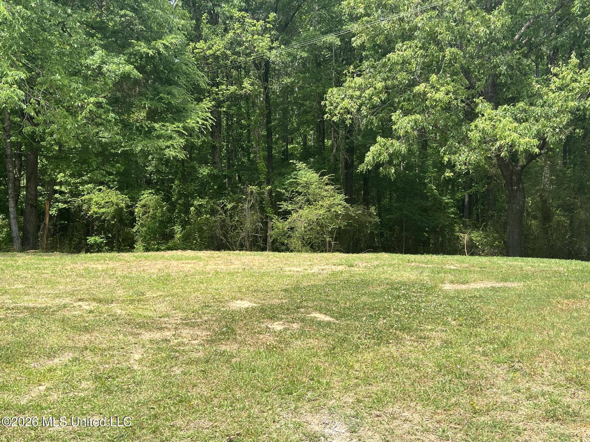 1846 Loring Road Camden, MS 39045 - Photo 23 of 28 IMG_7617