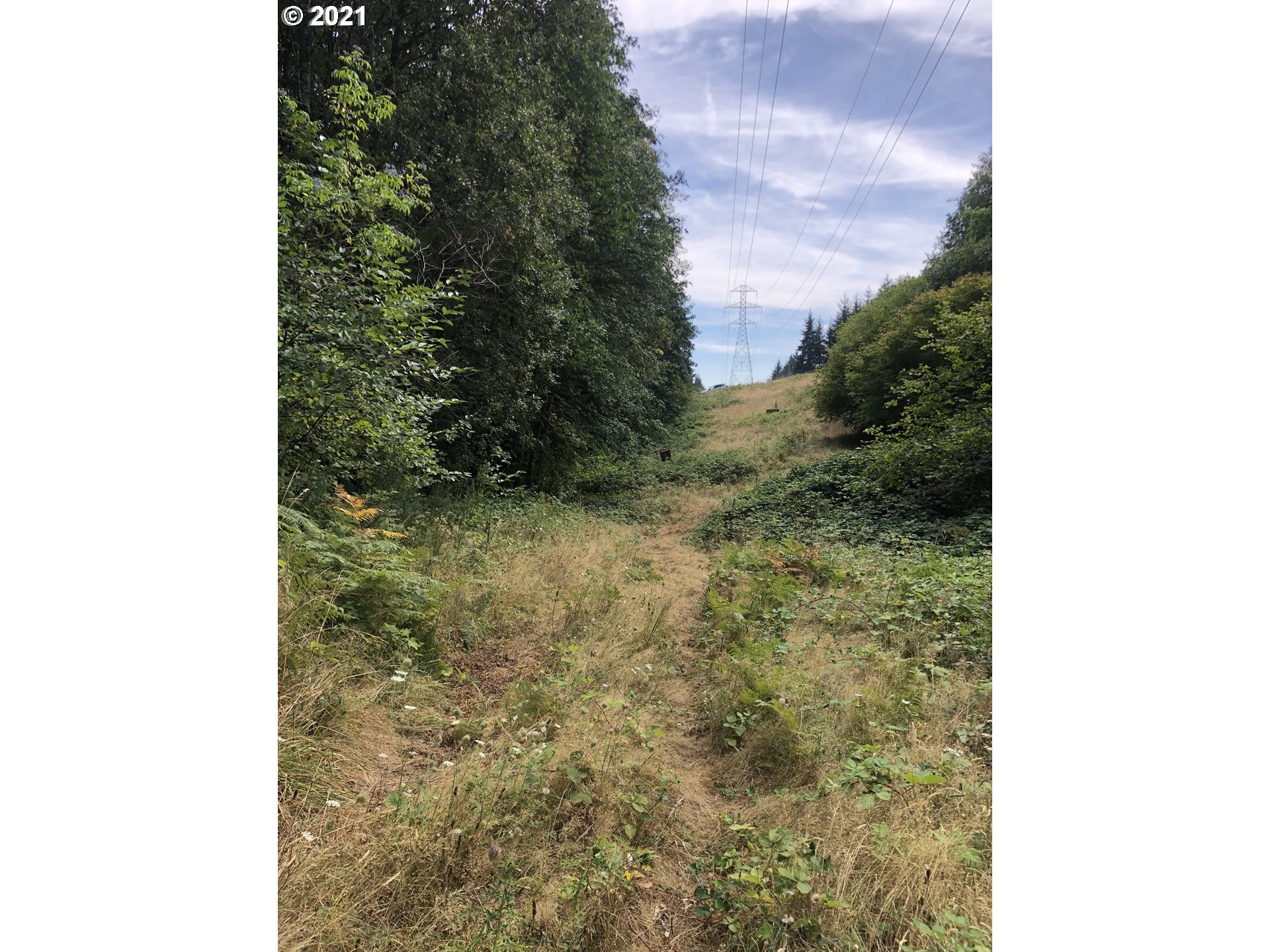 0 Pittsburg Road St. Helens, OR 97051 - Photo 8 of 10 Gallery Image 8