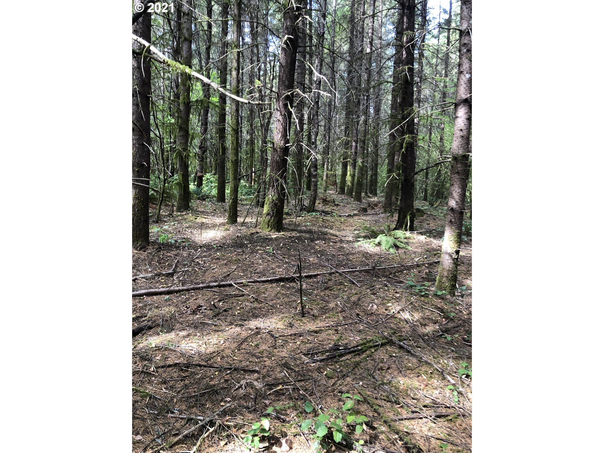 0 Pittsburg Road St. Helens, OR 97051 - Photo 10 of 10 Gallery Image 10
