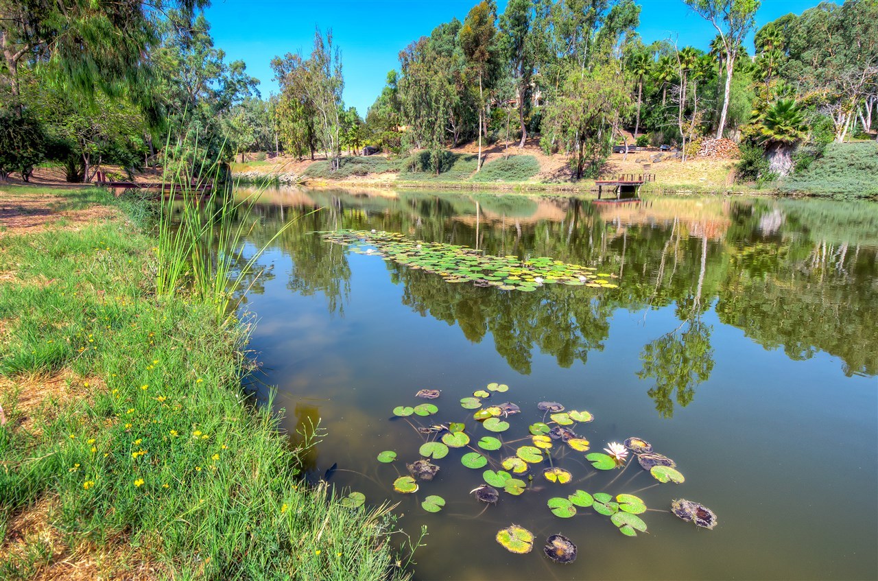6611 Lago Corte Rancho Santa Fe, CA 92091 - Photo 21 of 24