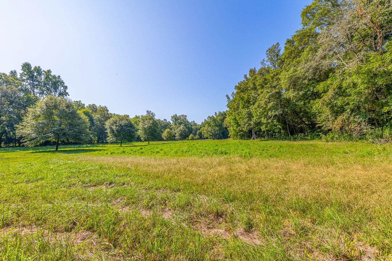 1250 Browning Road Enoree, SC 29335 - Photo 5 of 50
