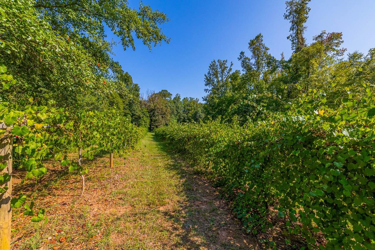 1250 Browning Road Enoree, SC 29335 - Photo 8 of 50
