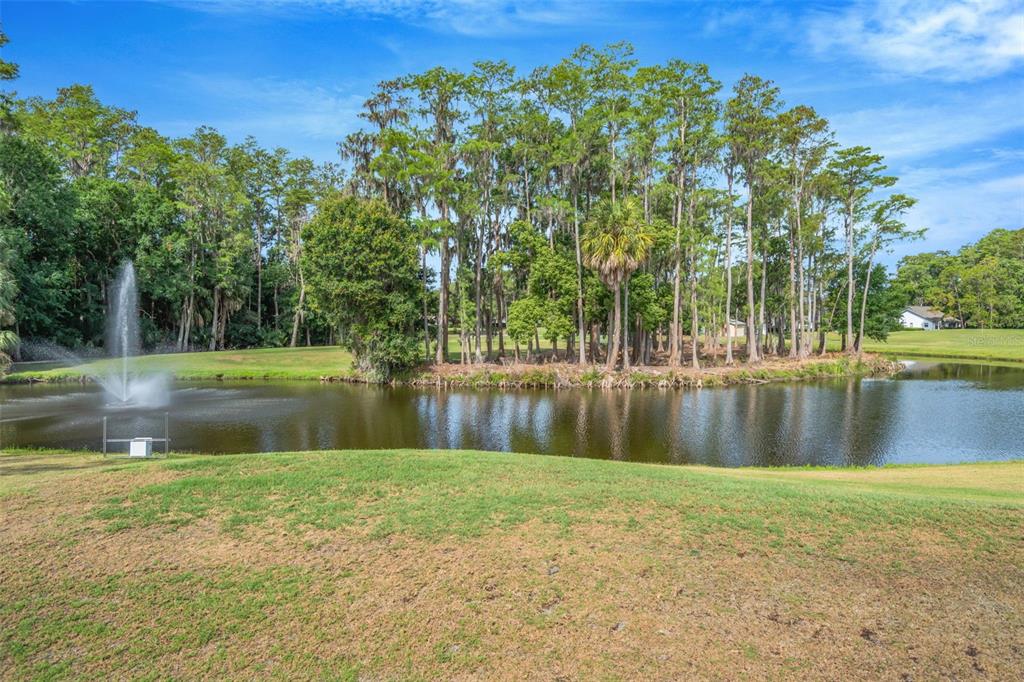 9617 Brassie Court New Port Richey, FL 34655 - Photo 36 of 41 a view of lake with green space