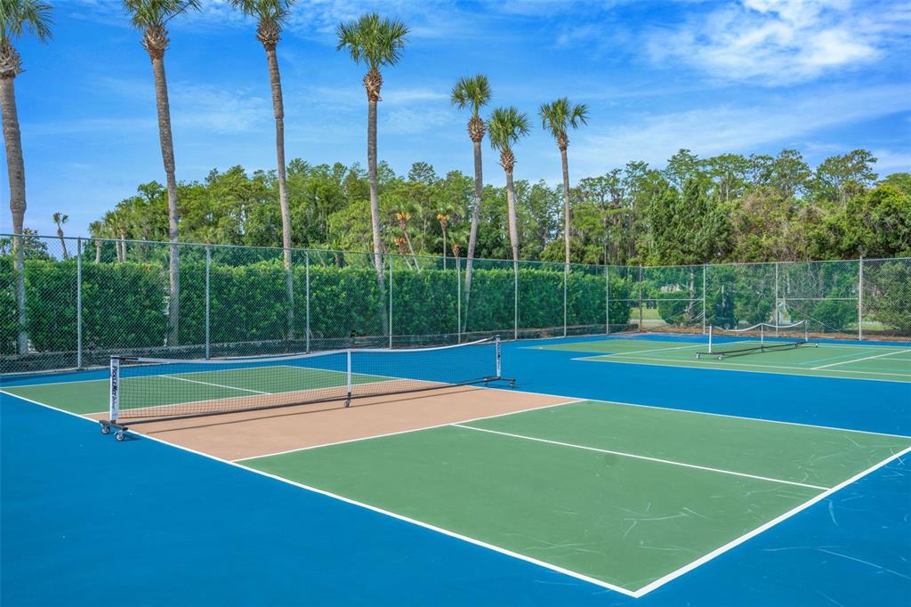 9617 Brassie Court New Port Richey, FL 34655 - Photo 40 of 41 a view of a tennis court with potted plants and palm trees
