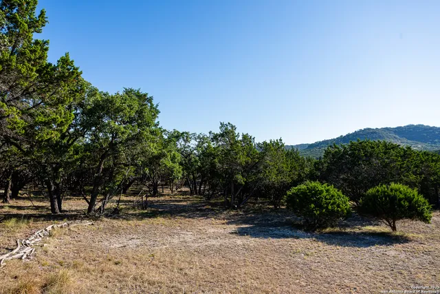 a view of park bench