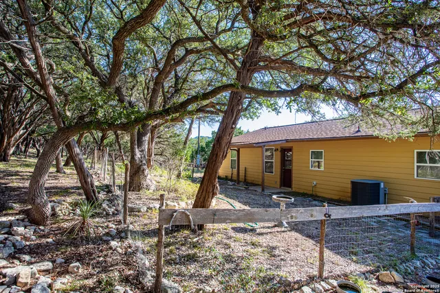 a view of a backyard with a tree