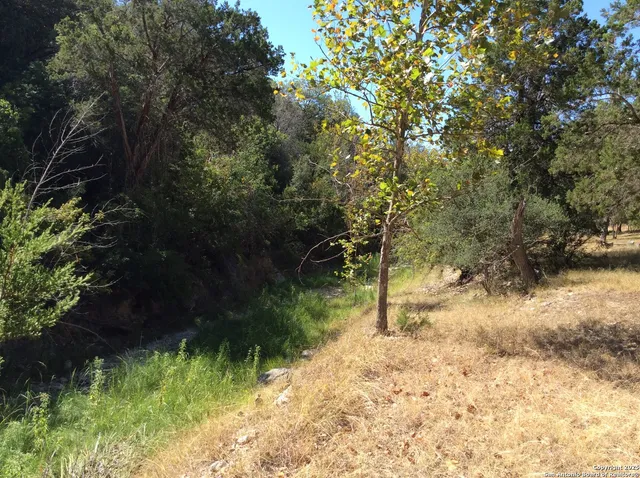 a view of outdoor space and trees all around