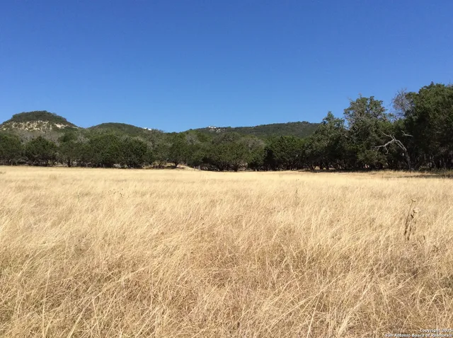 a view of yard with a mountain in the background