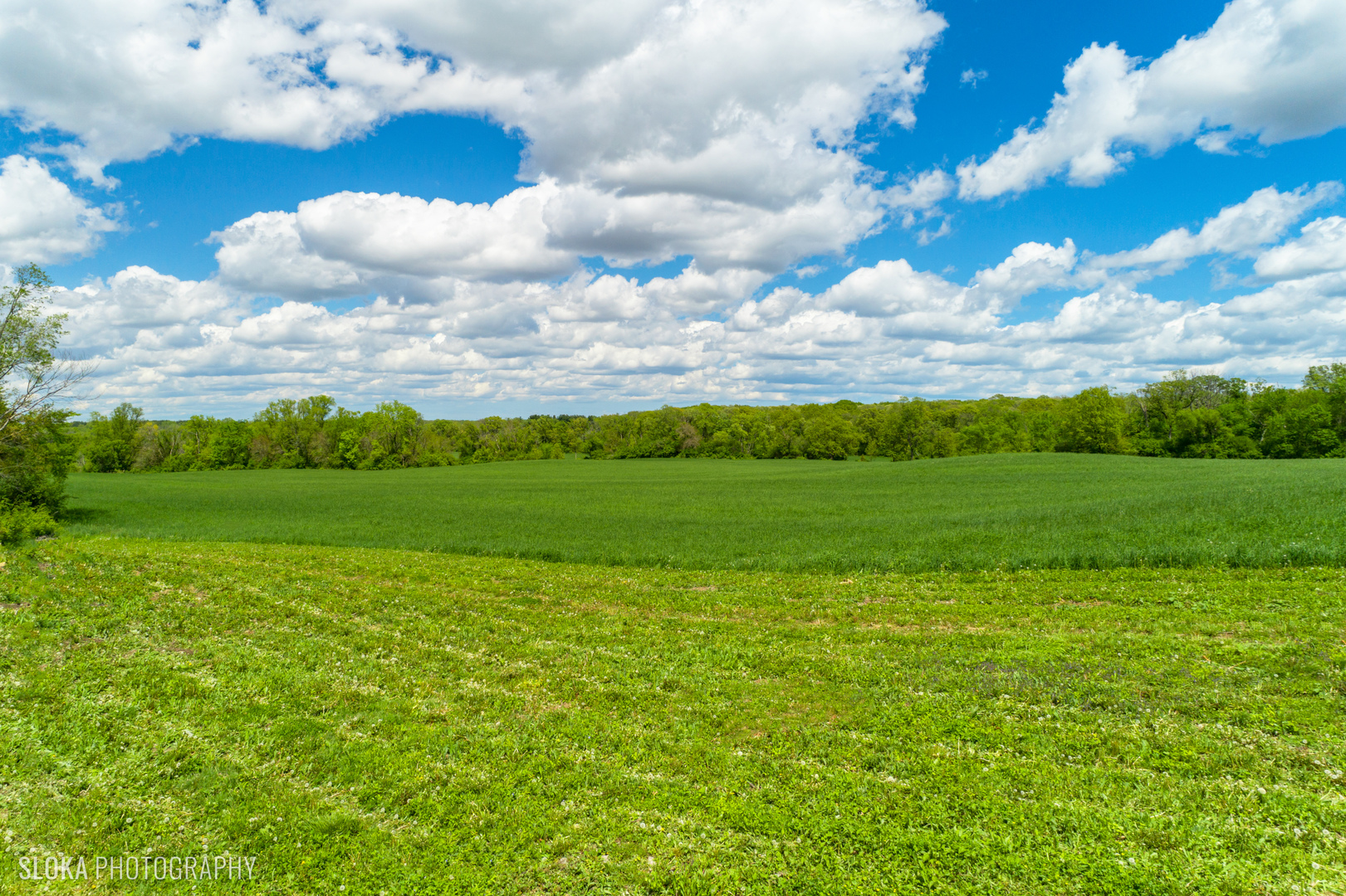 110 North Fleming Road Woodstock, IL 60098 - Photo 42 of 51 Gallery Image 42