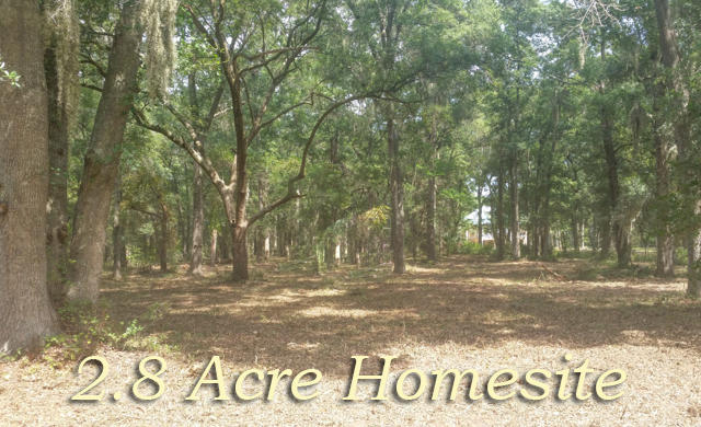 8766 Palmetto Road Edisto Island, SC 29438 - Photo 1 of 13 1
