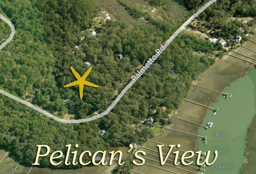 8766 Palmetto Road Edisto Island, SC 29438 - Photo 11 of 13 11
