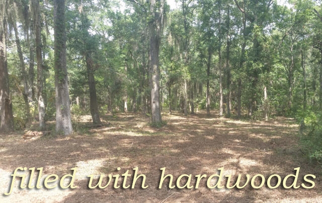 8766 Palmetto Road Edisto Island, SC 29438 - Photo 6 of 13 6