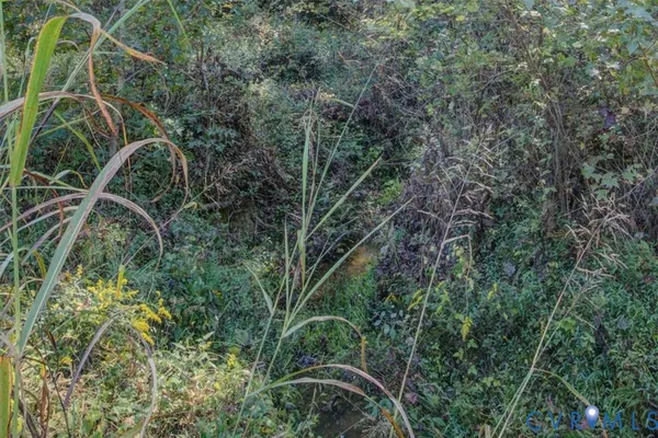 $40,000 | 0 Oakdale Road, Waverly, VA 23890