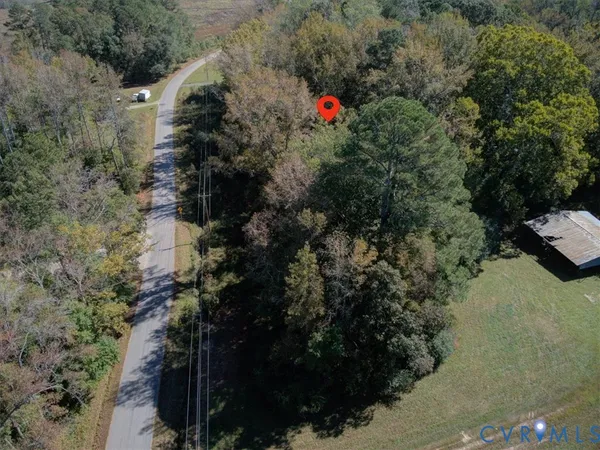 a view of a tree in a yard