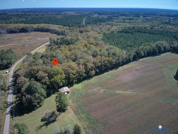a view of a field with a mountain and trees in the background