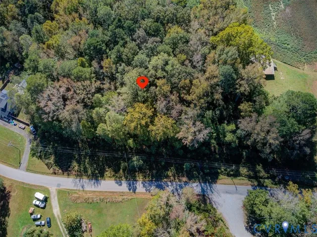 a view of a tree with a yard