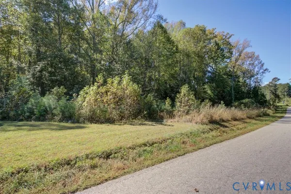 a view of a yard with a tree