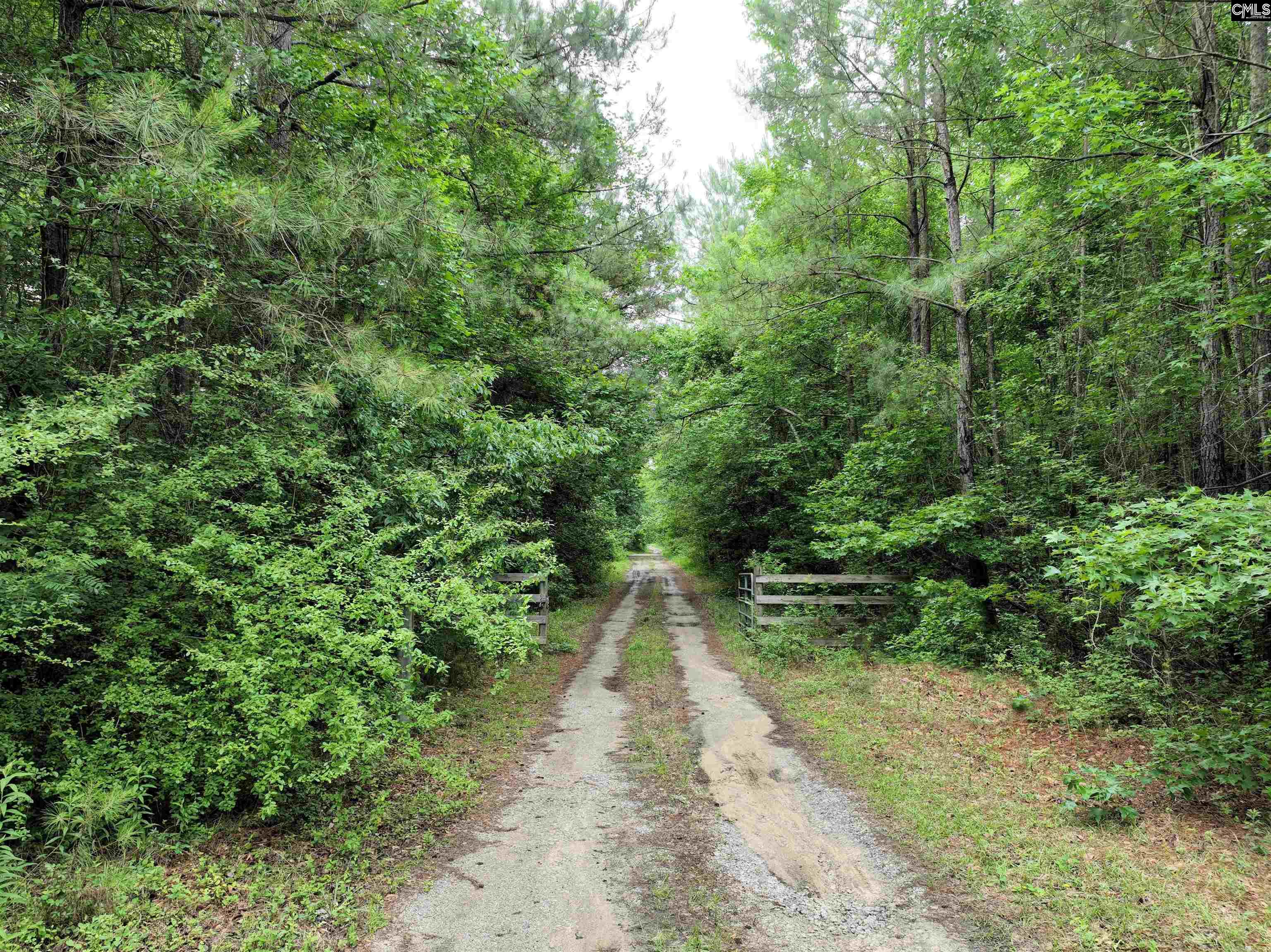 1141 Crosshill Road Hopkins, SC 29061 - Photo 3 of 38