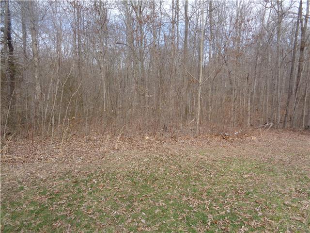 0 Davis Road Wartrace, TN 37183 - Photo 1 of 3