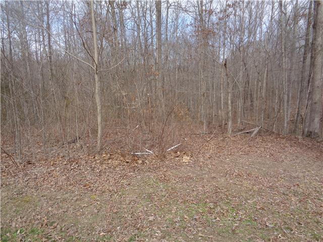 0 Davis Road Wartrace, TN 37183 - Photo 2 of 3