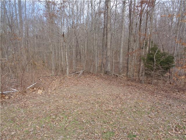 0 Davis Road Wartrace, TN 37183 - Photo 3 of 3