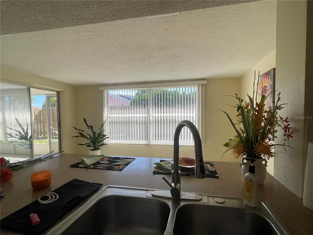 a room with a potted plant on a counter and a window