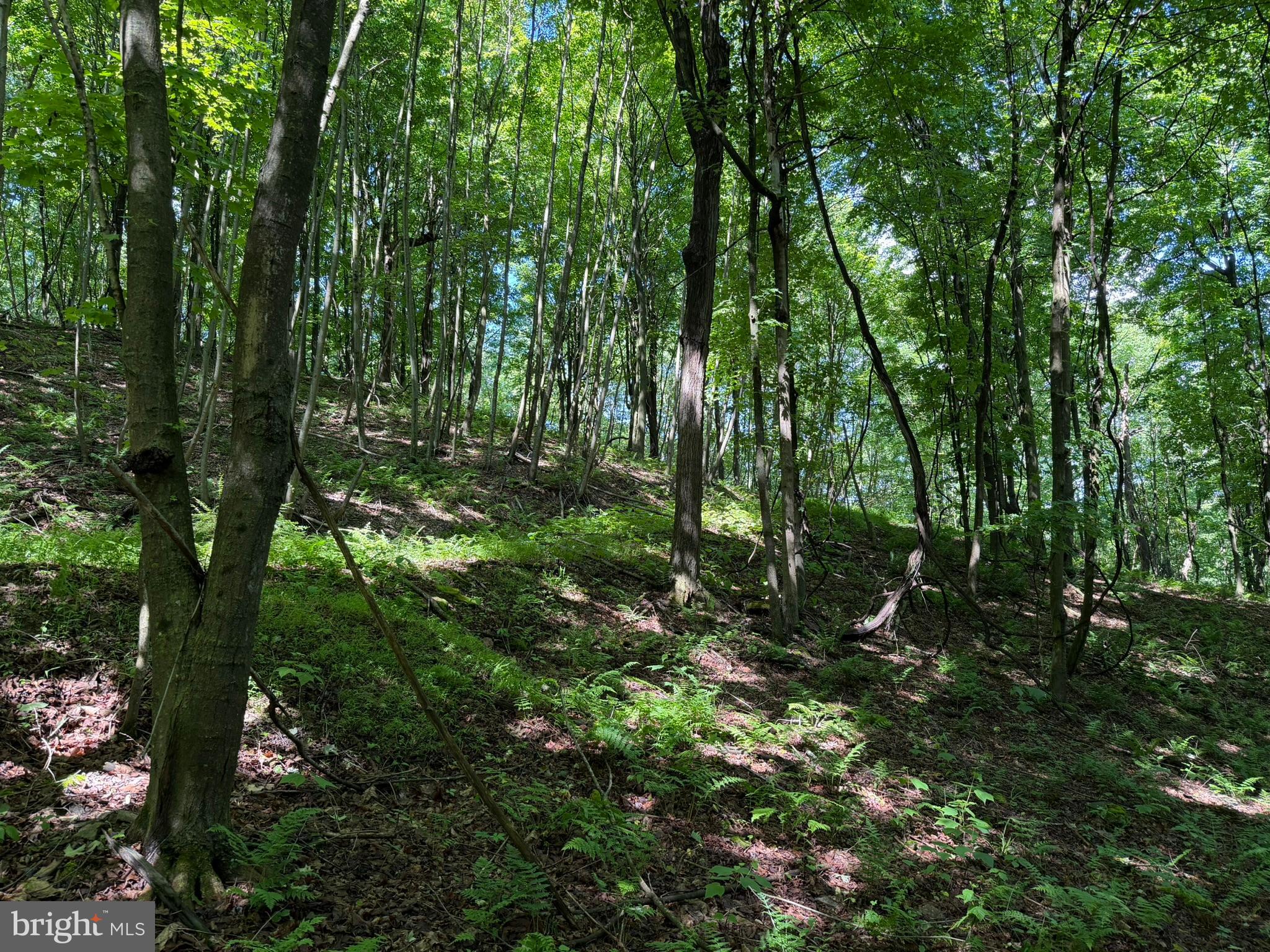 848 Sugar Camp Road Clearfield, PA 16830 - Photo 104 of 118