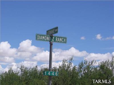 135 Ac On Boggs Road Bowie, AZ 85605 - Photo 3 of 4