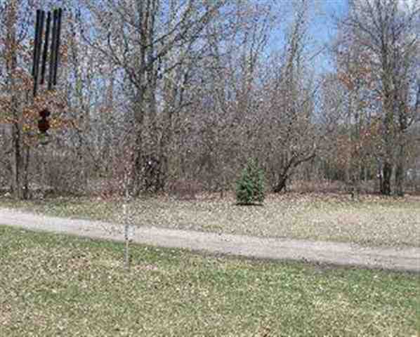 4709 School Road Temperance, MI 48182 - Photo 4 of 13 Driveway