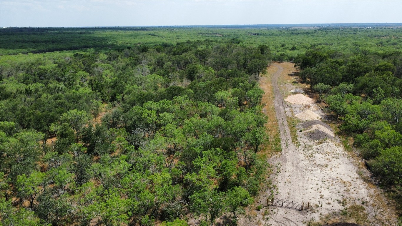 Tbd Lively Stone Road Lockhart, TX 78644 - Photo 5 of 10 a view of a field with a tree