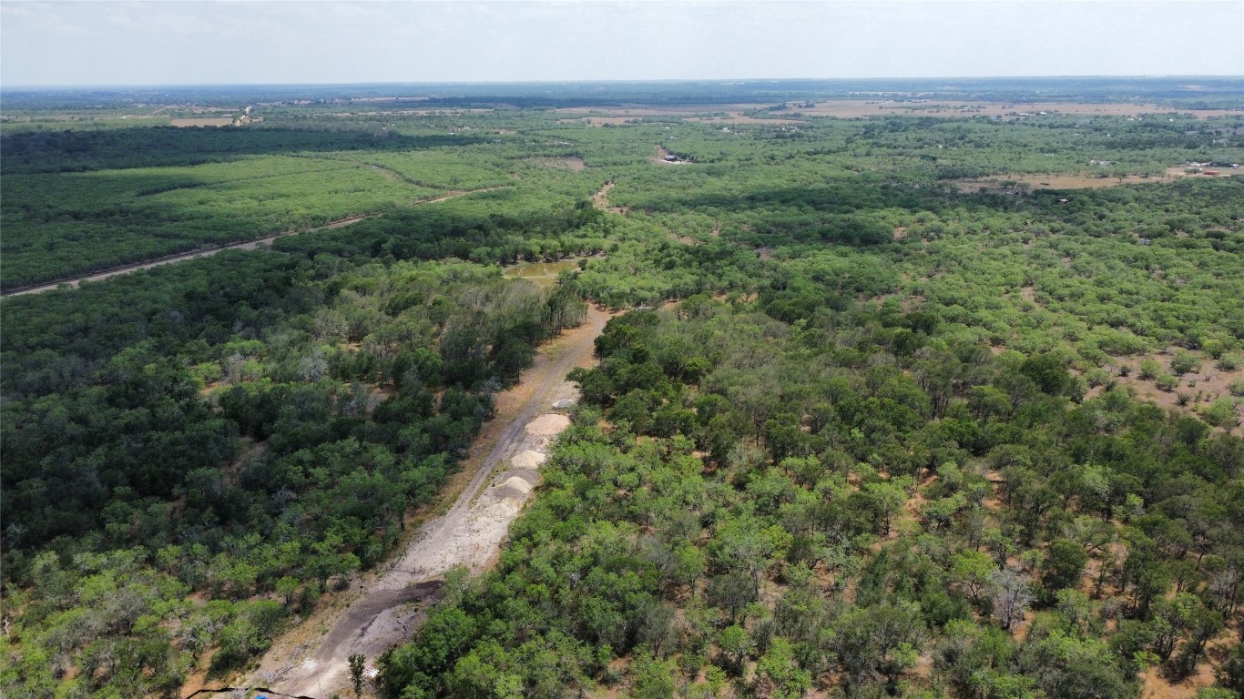Tbd Lively Stone Road Lockhart, TX 78644 - Photo 6 of 10 a view of a green field with lots of trees
