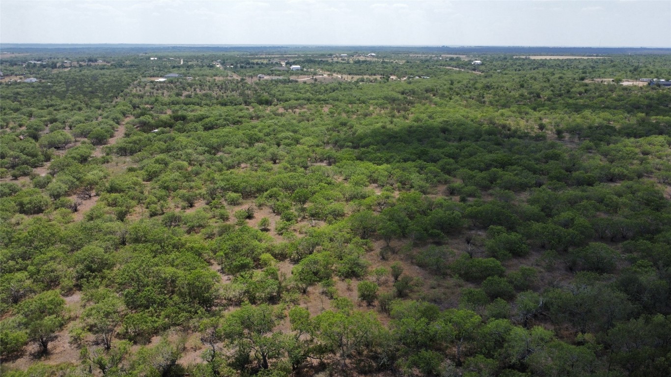 Tbd Lively Stone Road Lockhart, TX 78644 - Photo 8 of 10 a view of a city with lush green forest