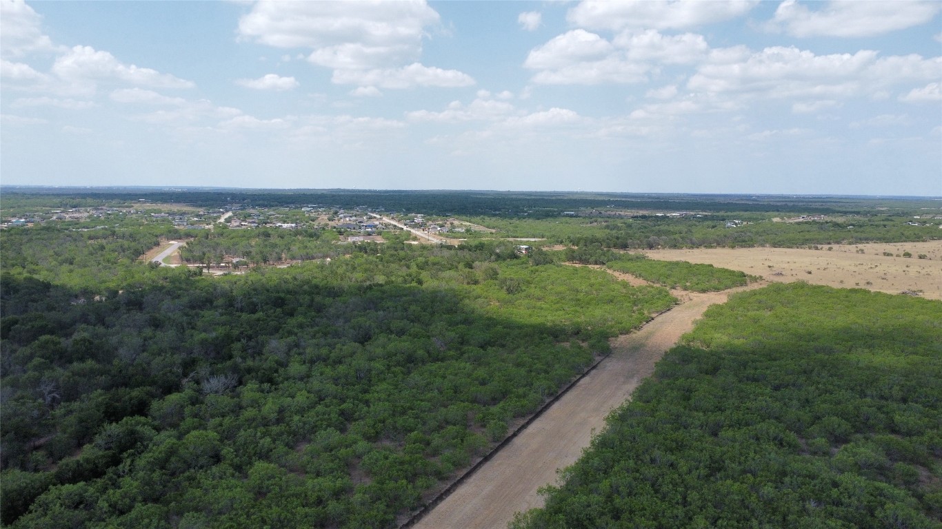 Tbd Lively Stone Road Lockhart, TX 78644 - Photo 9 of 10 a view of a city with ocean
