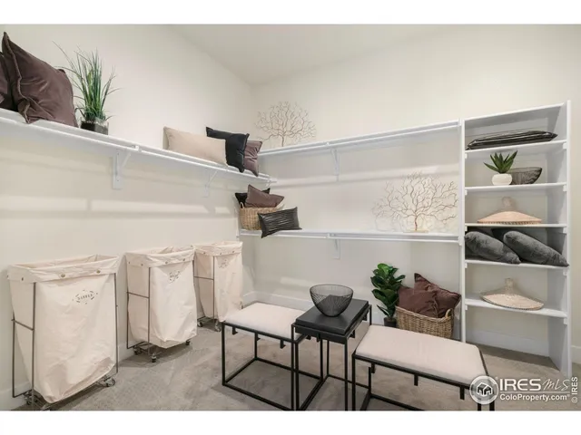 a view of furniture and a potted plant