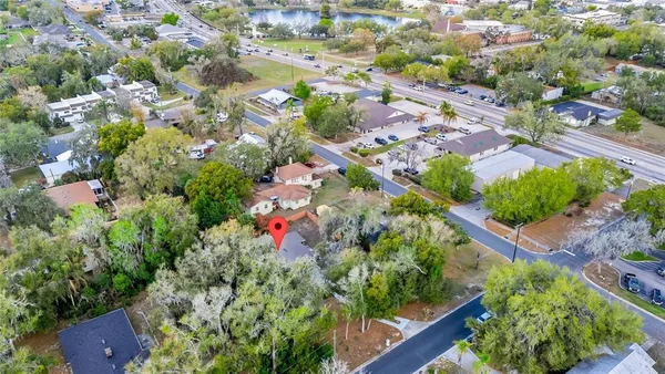 a view of a garden with a flower garden