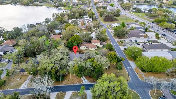 a picture of flowers