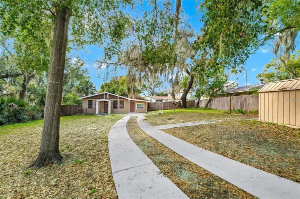 a view of a backyard with a tree