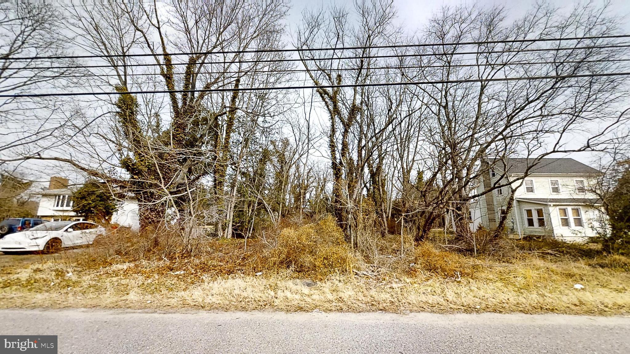 653 Buckshutem Road Bridgeton, NJ 08302 - Photo 28 of 29 a backyard of a house with lots of trees